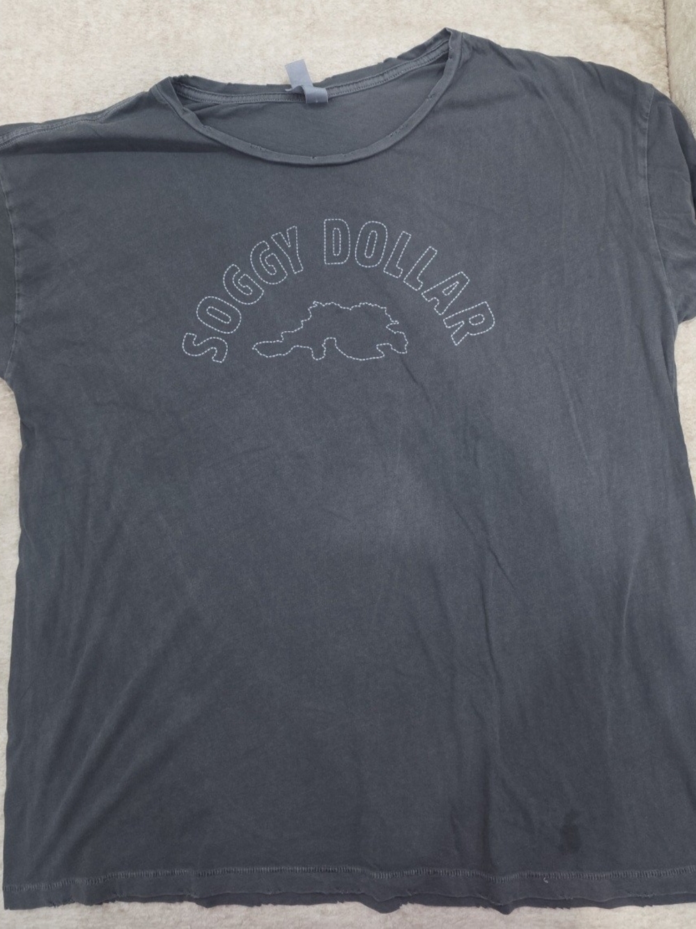 Alternative Men's Charcoal Graphic Tee with 'Soggy Dollar' Print